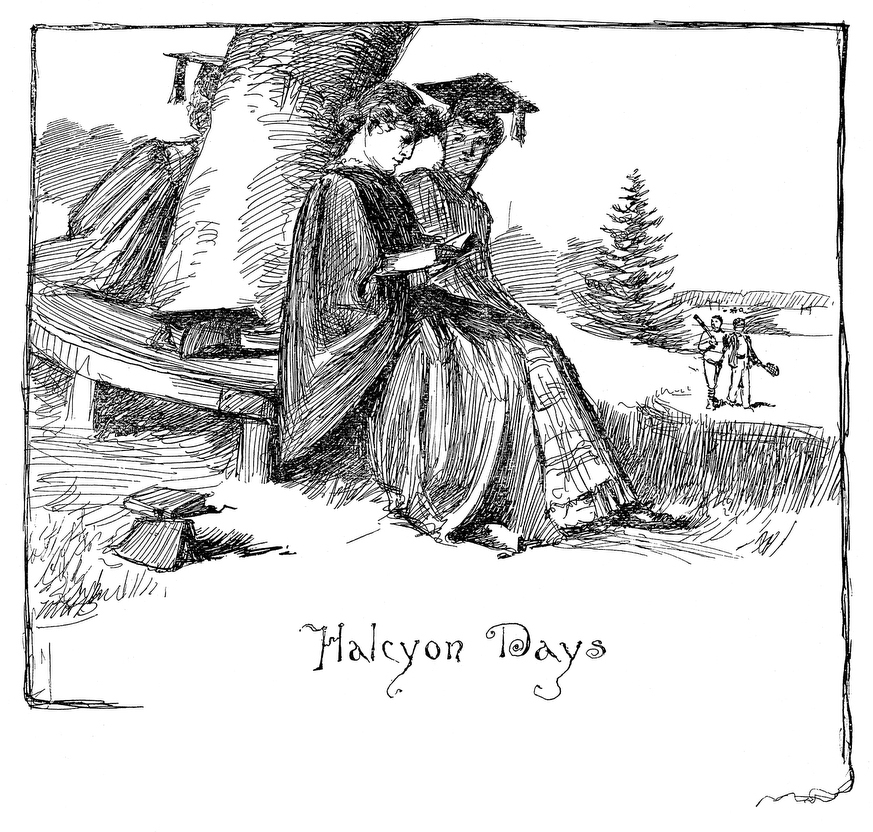 line drawing of a man and woman in graduation garb reading beneath a tree